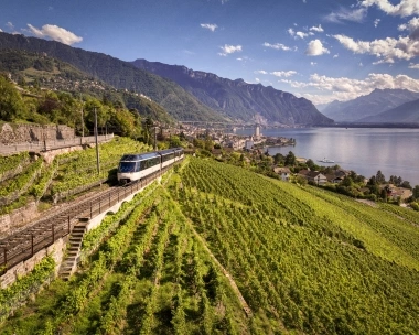 Un train traverse des vignobles avec vue sur un lac et des montagnes à l'arrière-plan.