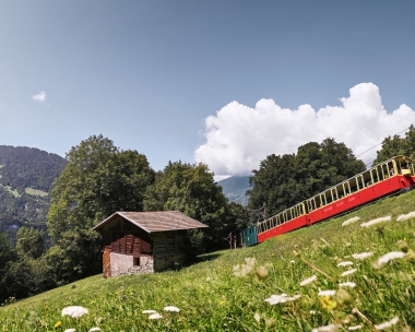 The Schynige Platte Railway with an electric locomotive.