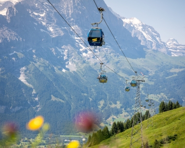 A cable car glides over a green mountain meadow dotted with flowers, set against a stunning mountain backdrop with a view of a valley.
